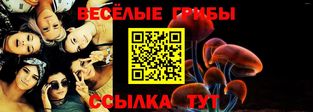 Псилоцибиновые грибы GOLDEN TEACHER  Вход с VPN  Коммунар  дарнет шоп  Галлюциногенные грибы мицелий 